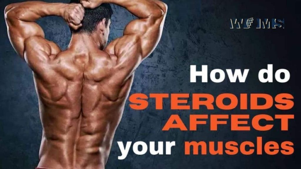 Steroids for Sale How Do Steroids Affect Your Muscles? WOMS