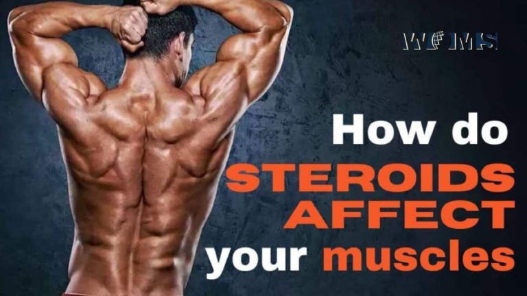 Steroids for Sale: How Do Steroids Affect Your Muscles? - WOMS