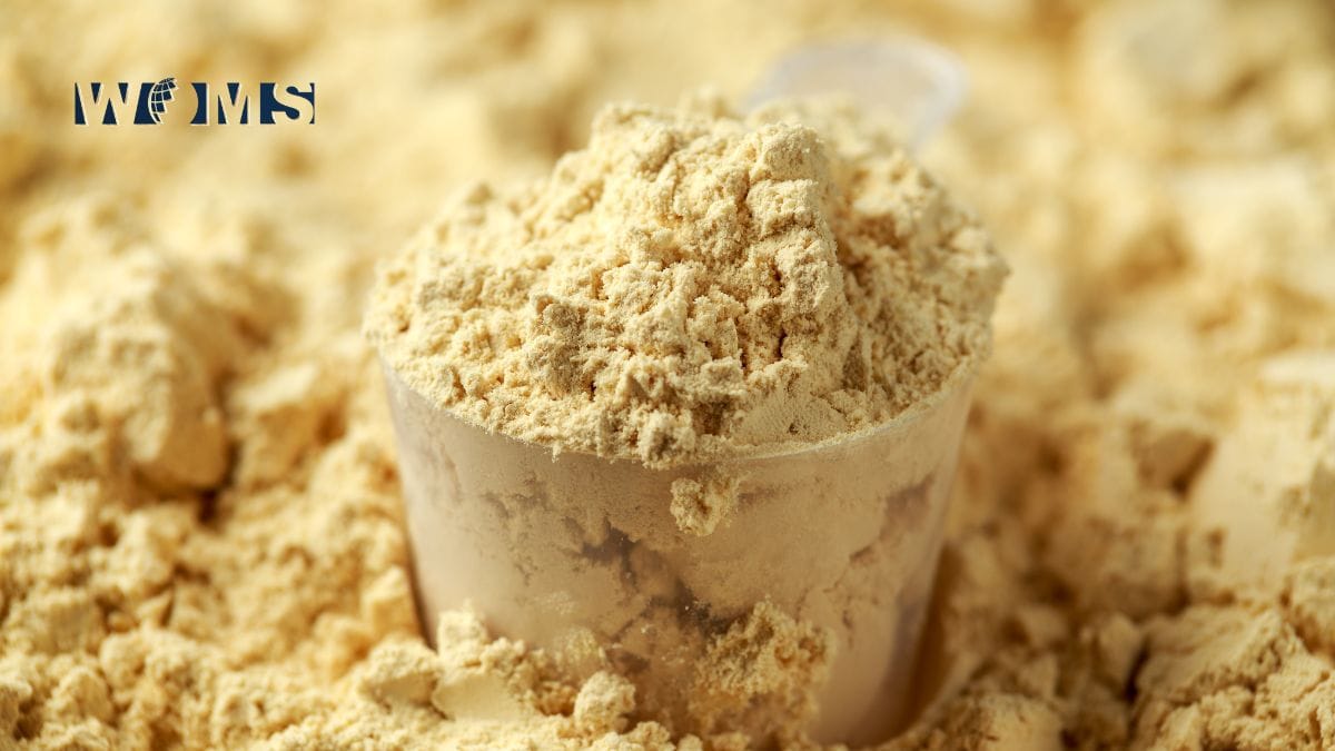 Vegan Protein Powders