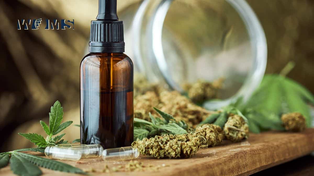 Which Is Best for Consuming CBD