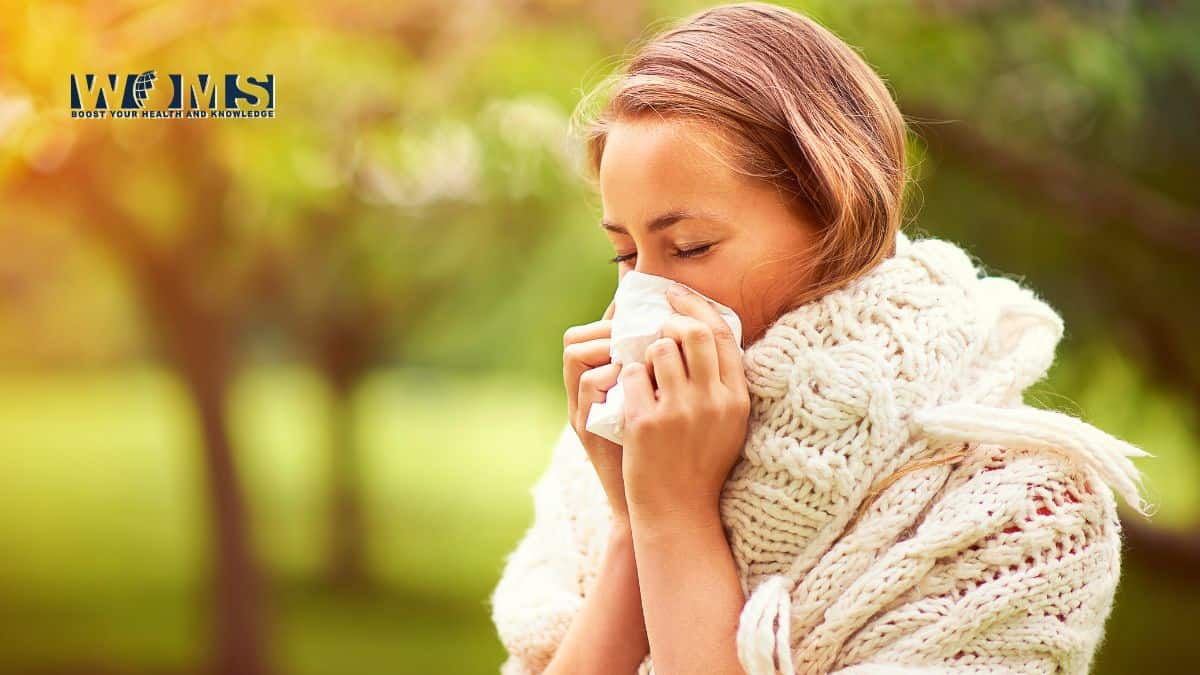 Herbal Remedies for Seasonal Allergies