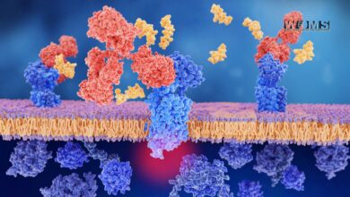 Gene Therapies
