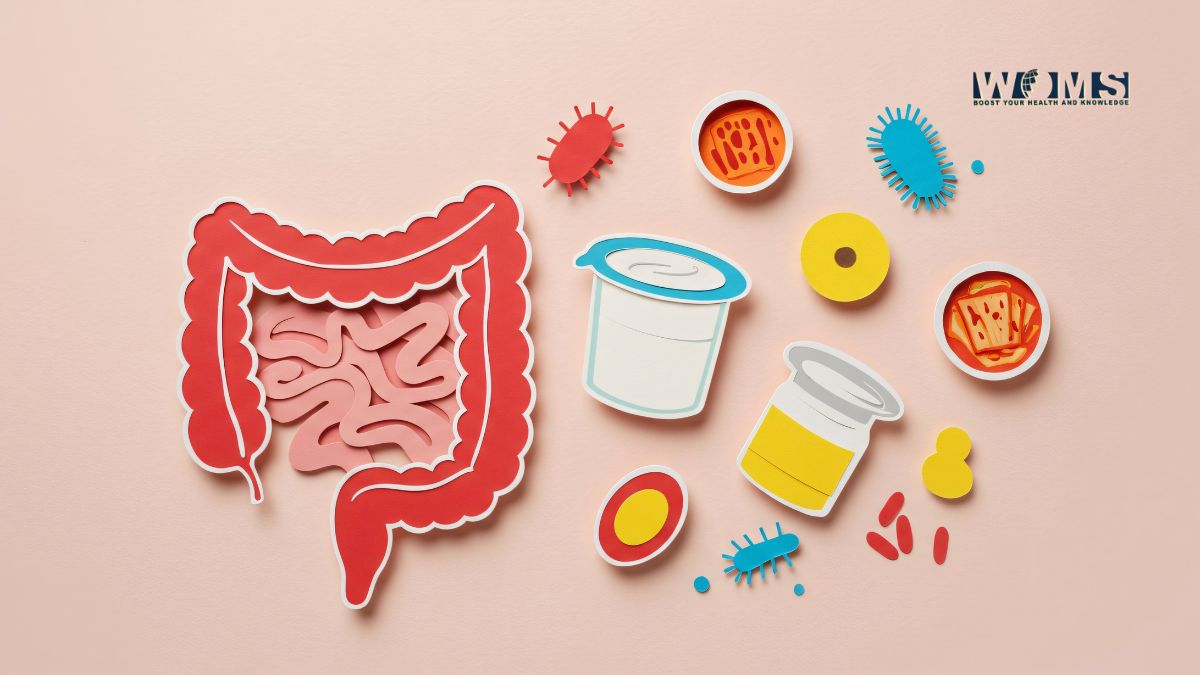 Gut Health in Healing the Addicted Brain